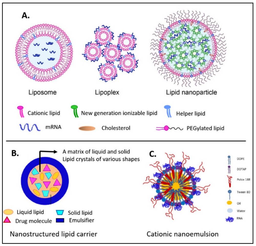 Figure 1. Lipid nanocarrier platforms for mRNA. (OA Literature)