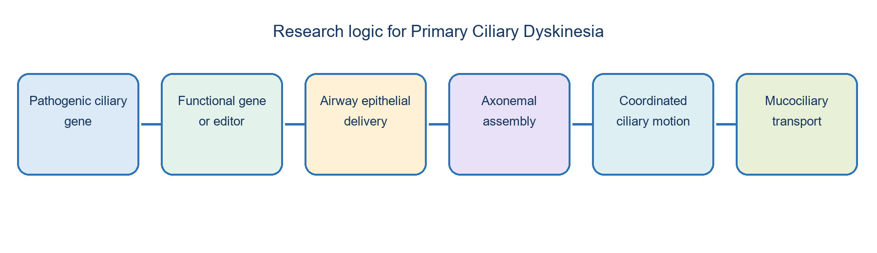 Figure 2: Gene therapy research logic for primary ciliary dyskinesia