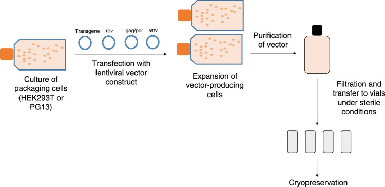 Figure 2: Large-scale lentiviral vector manufacturing workflow from packaging-cell culture to cryopreservation (OA Literature)