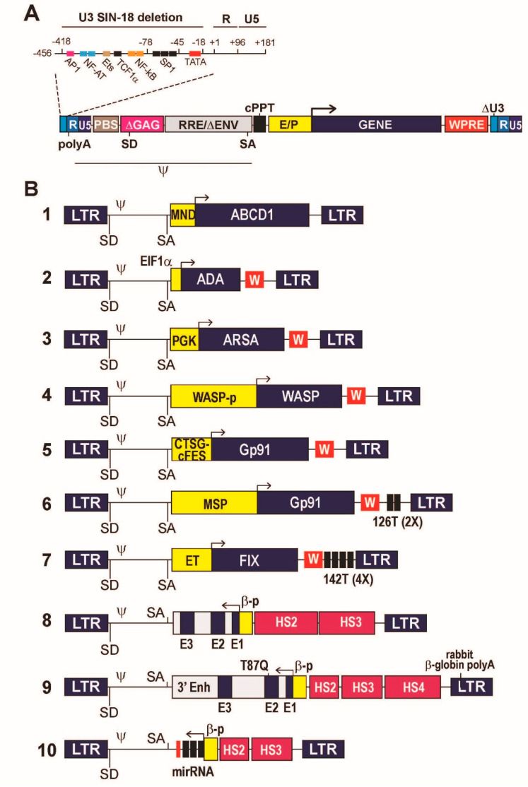 Figure 2: Self-inactivating HIV-1-derived lentiviral vector architecture and representative clinical expression cassettes (OA Literature)