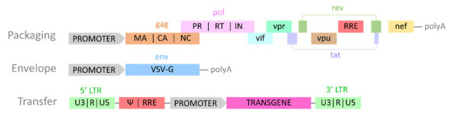 Fig. 1. First-generation LV system.