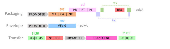 Fig. 2. Second-generation LV system.