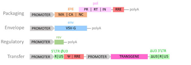 Fig. 3. Third-generation LV system.