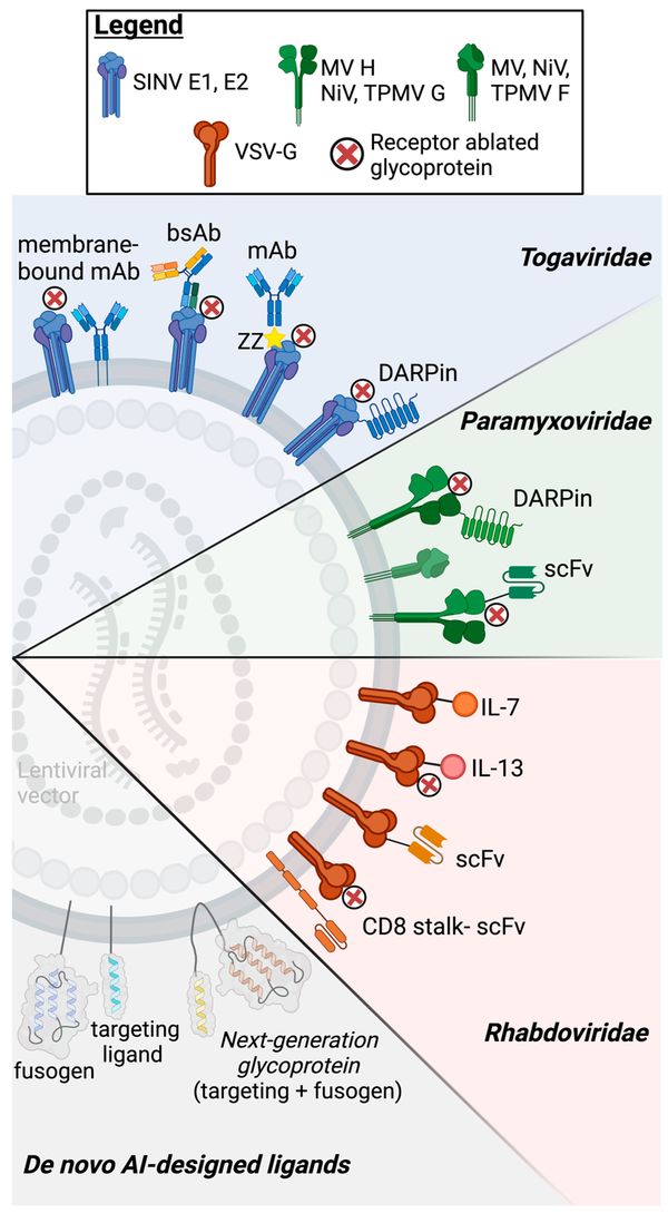 Figure 1. Overview of pseudotyping strategies for targeted lentiviral vector delivery.