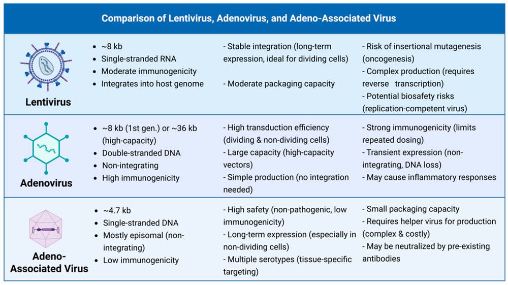 Figure 1. Head-to-head comparison of lentiviral, adenoviral, and adeno-associated viral vectors