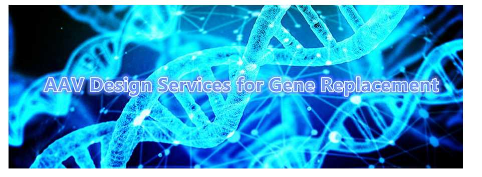 AAV Design Services for Gene Replacement.