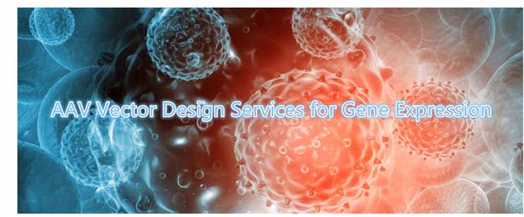 AAV Vector Design Services for Gene Expression.