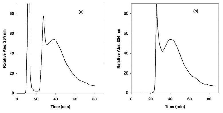 Hydrophobic interaction chromatography performed on clarified E. coli lysate.