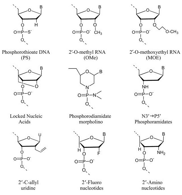 Selection of modified nucleic acid.