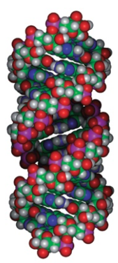Custom Bridged Nucleic Acid Synthesis