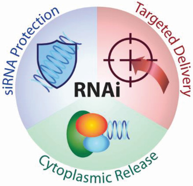 Custom Nanoparticles Service for RNAi