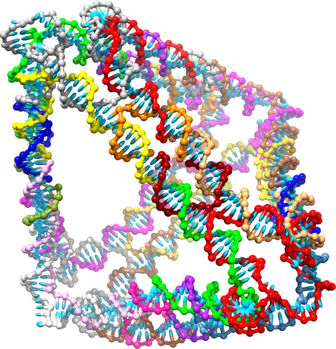 Custom Nucleic Acid Nanostructure Service for RNAi