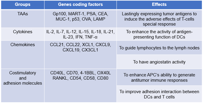Genes used for modification of Dendritic cells