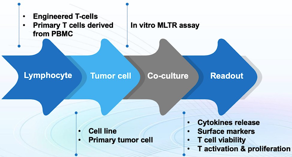 Simple diagram of MLTR assay at GTOnco™.