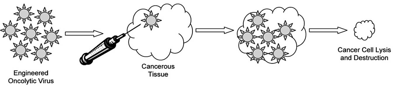 Schematic diagram of oncolytic virotherapy