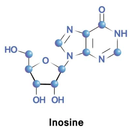 Inosine structure.