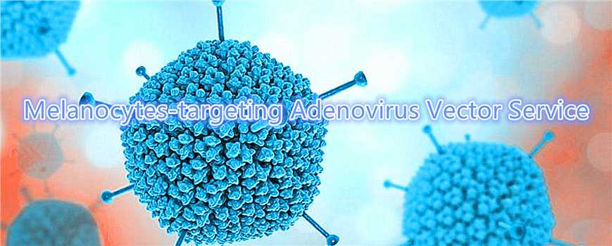 Melanocytes-targeting Adenovirus Vector Service.