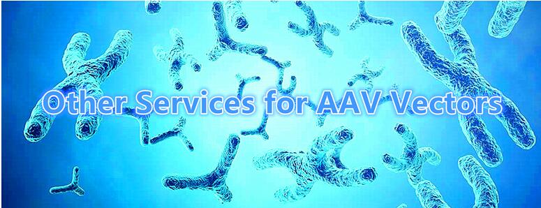 Other Services of AAV Vectors.