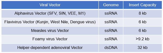 Viral vectors applied for gene therapy