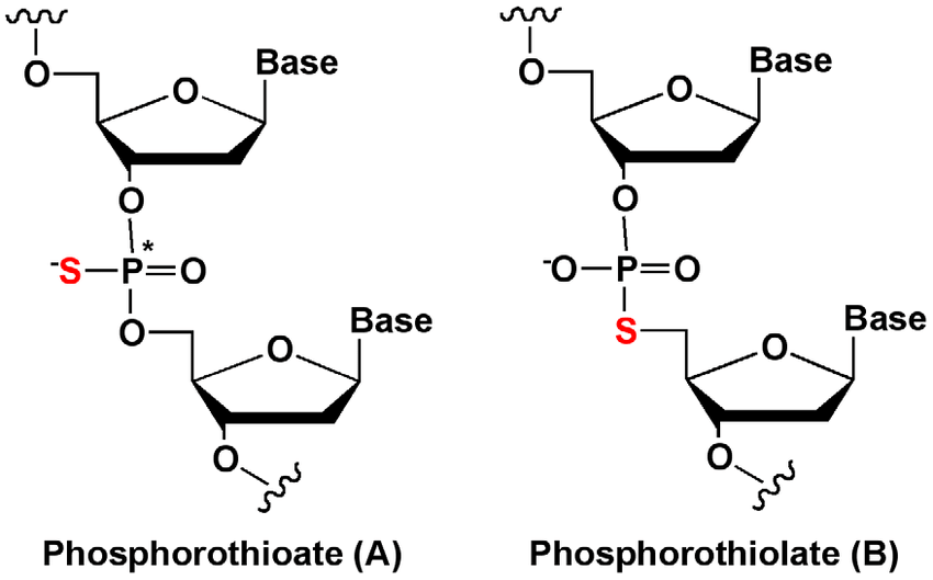 Chemical structure of a phosphorothioate (A) and a phosphorothiolate (B) linkage.
