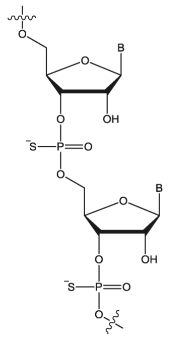 Phoshorothiates structure.