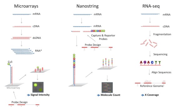 RNA profiling technologies.