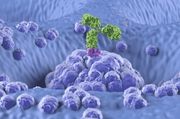 GalNAc Conjugated ASO