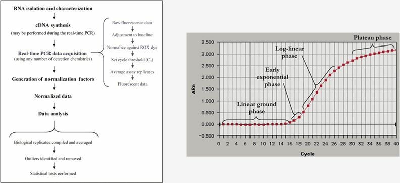 Figure 1: . (OA Literature)