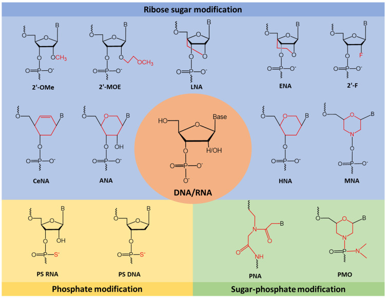 Figure 2. Chemical modifications for splice-switching ASOs. (OA Literature)