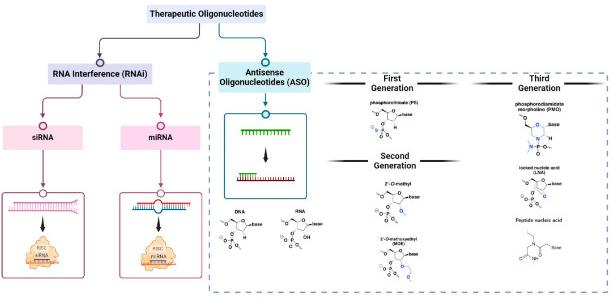 Figure 1: Therapeutic Oligonucleotide Modalities: RNA Interference (RNAi) and Antisense Oligonucleotides (ASOs). This section outlines the most researched chemical modifications for ASOs across different generations. (OA Literature)