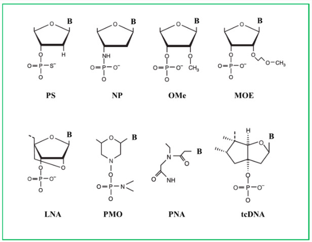 Figure 1: Structural Modifications of the ASO Backbone. (OA Literature)