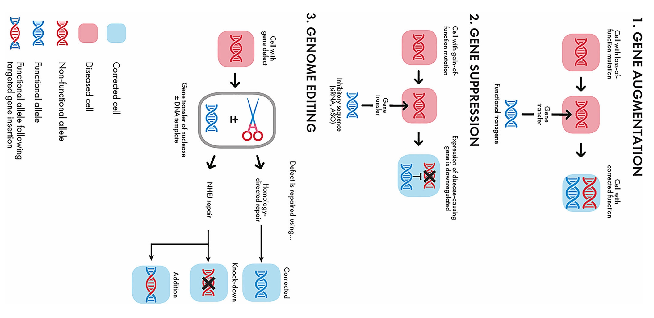 Modes of delivery for AAV-mediated gene therapy to the nervous system used in clinical trials