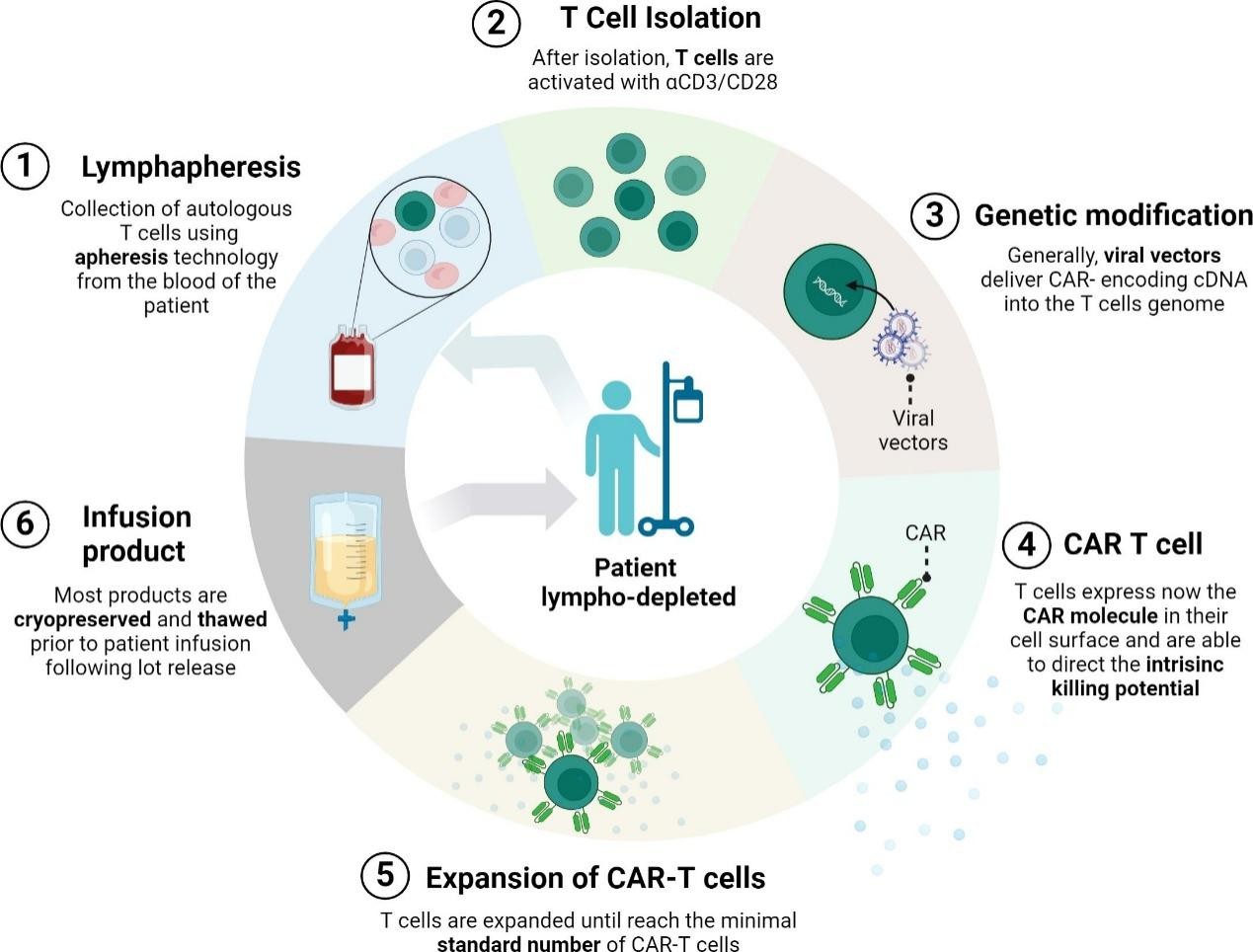 Fig.2 Schematic of the different cell sources that can be used in stem cell-based therapy