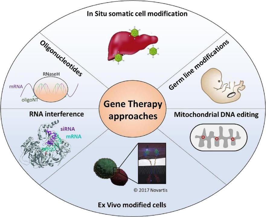 Fig.6 The expanding Gene Therapy field 