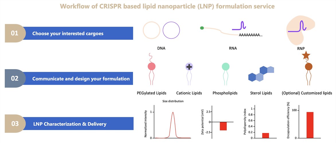 Figure 2. Process flow of our CRISPR-based Lipid Nanoparticle (LNP) formulation service.