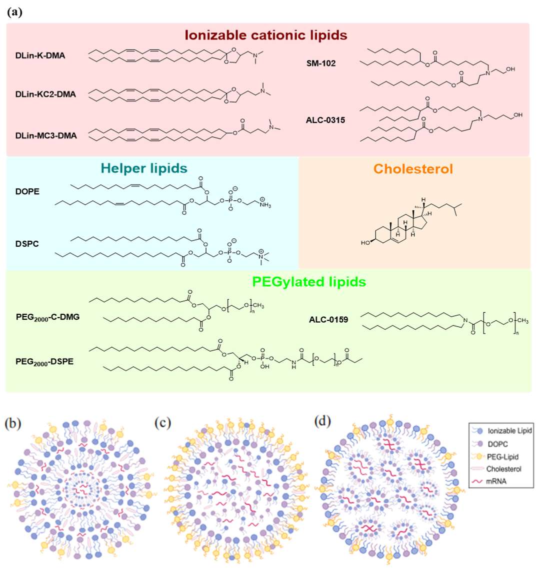 Figure 1. Composition and structural models of mRNA lipid nanoparticles. (OA Literature)