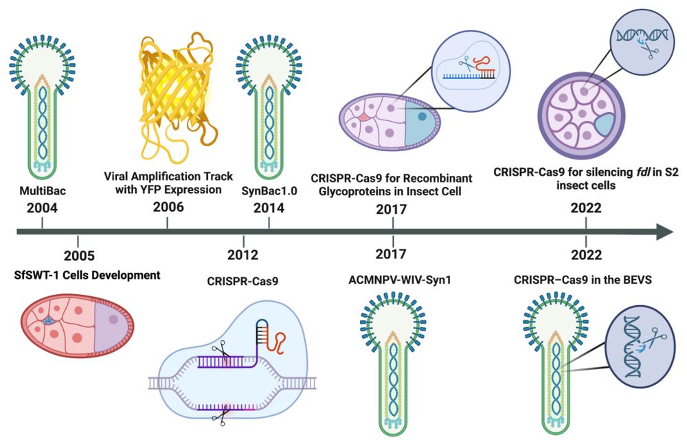 Figure 1. Progression of the Baculovirus Expression Vector System (BEVS), MultiBac technology, and the CRISPR/Cas9 system. (OA Literature)