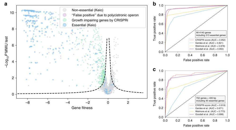 Figure 1. Identification of essential genes in E. coli through CRISPRi screening. (OA Literature)