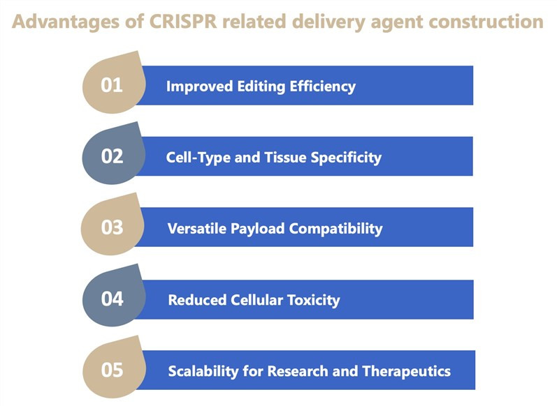 Advantages of our services