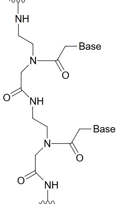 Peptide Nucleic Acid (PNA) Chemical Structure