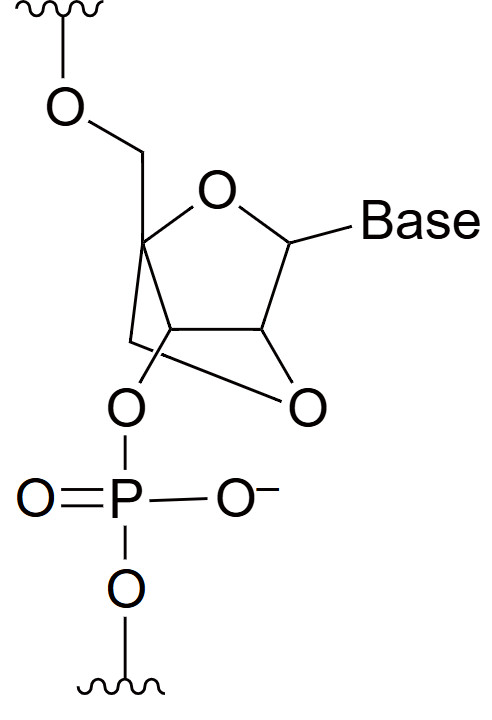 Bridged Nucleic Acid (BNA) Chemical Structure