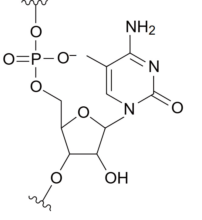 5-Methylcytidine Chemical Structure