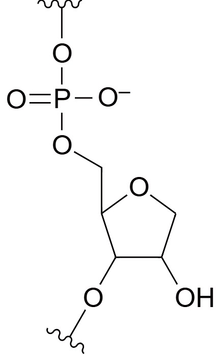 Abasic RNA Chemical Structure