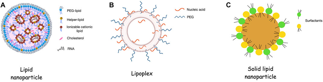 Figure 1. Consistency of lipidic nanoparticles for RNA delivery. (OA Literature)