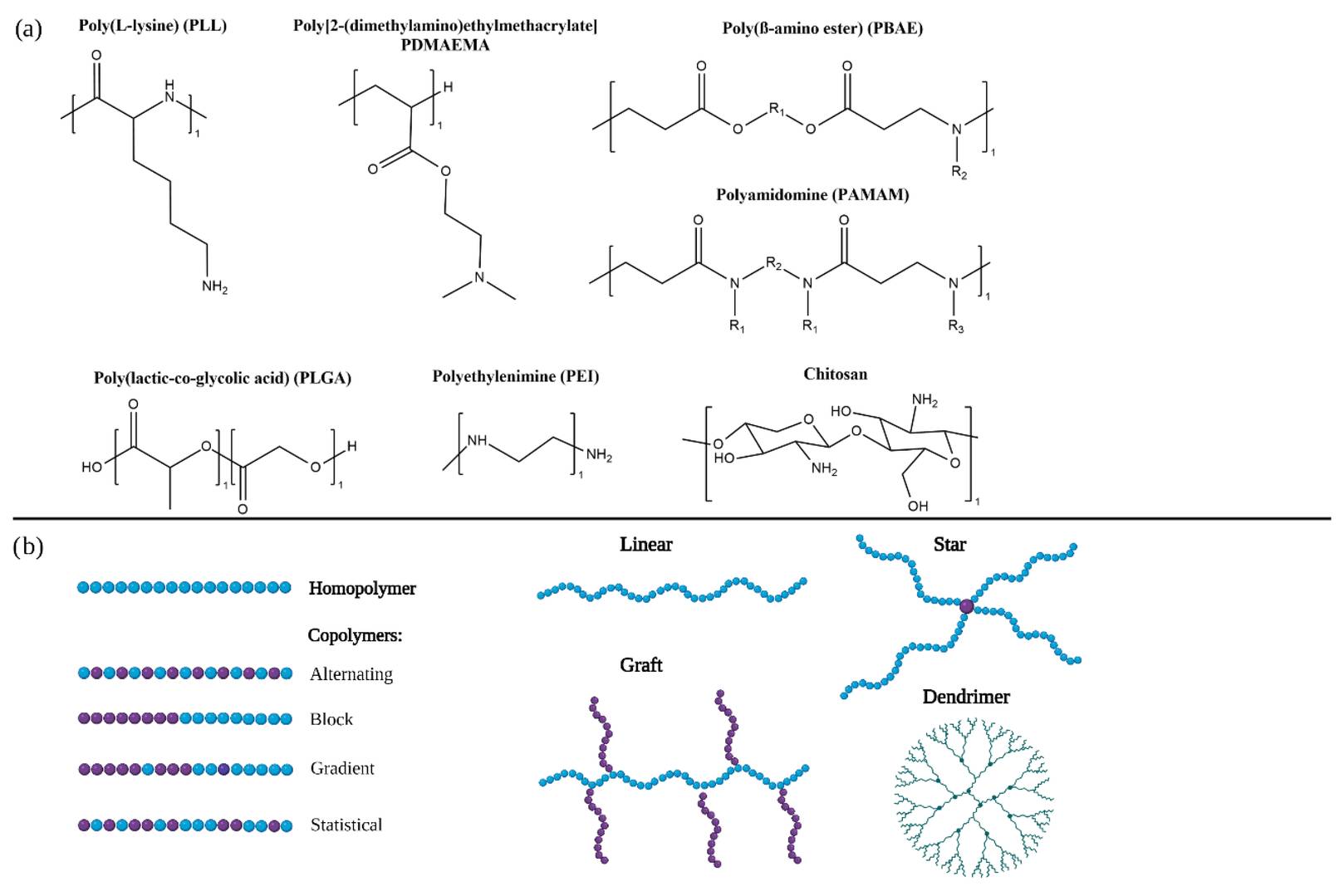 Figure 1. (a) Chemical structures of widely used polymers in RNA therapeutics. (b) Schematic representations of various polymer architectures and topologies. (OA Literature)