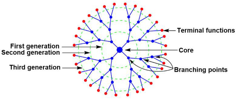 Figure 1: Schematic Representation of a Third-Generation Dendrimer Highlighting Its Key Structural Characteristics. (OA Literature)