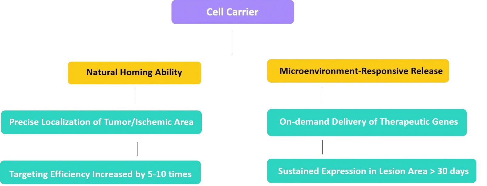 Cell Delivery Systems Advantages (Creative Biolabs original)