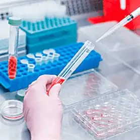Potency Tests for Gene Therapy Products