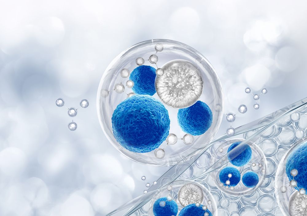 Immune Cell Profiling