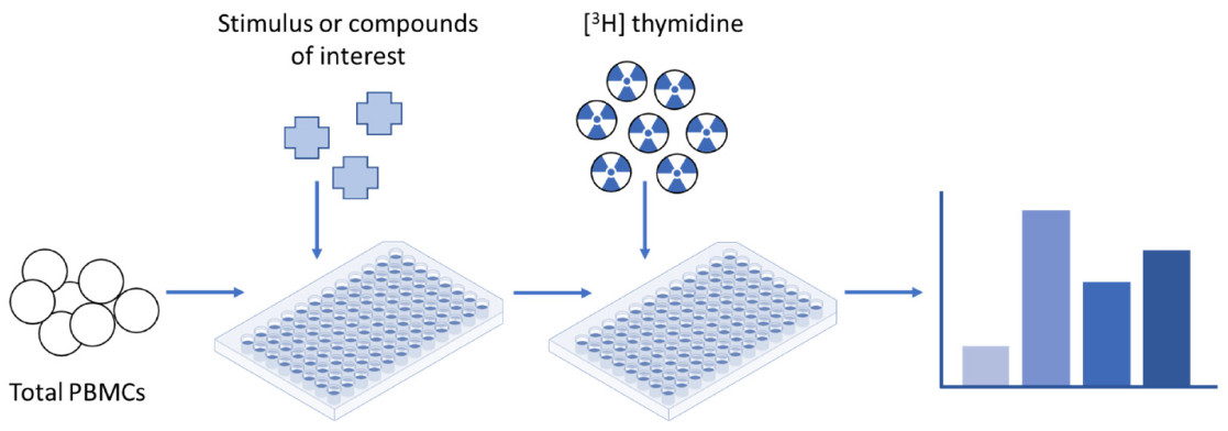 Figure 1: Lymphocyte proliferation test—[3H] thymidine uptake. (OA Literature)